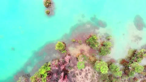 Aerial view of a lagoon in equatorial asia in top shot Stock Footage 158740468