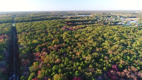 Aerial View Lake and Fall Colors Stock Footage 81579892