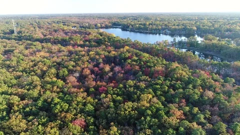Aerial View Lake and Fall Colors Stock Footage 81579979