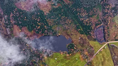An Aerial View of a Lake and Forest With Thin Clouds Above - Aerial Topdown Shot Stock Footage 321053963