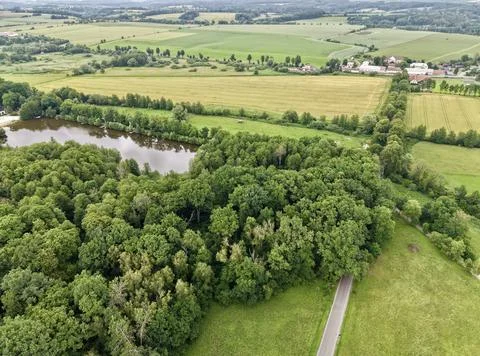 Aerial view of lake bordered by mixed woodland, grassy meadow, and golden f.. Stock Photos