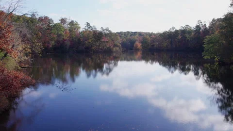 Aerial View Lake With Colorful Autumn Trees in Paris Mountain State Park So.. Stock Footage 346098853