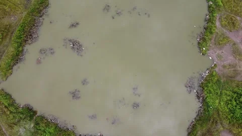 Aerial view of lake dirty with garbage Stock Footage 245426033
