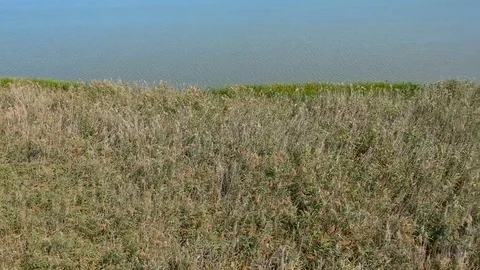 Aerial view of a lake Stock Footage 79966818