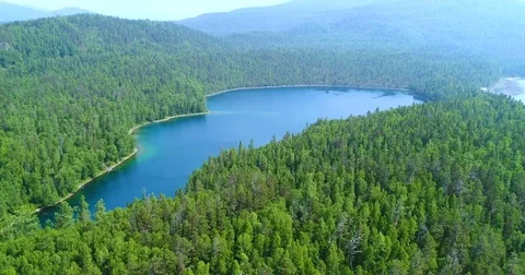 Aerial View Lake in forest during summer day Video stock 77065005
