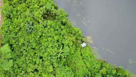 Aerial view of the lake in the mountainous area of South Kalimantan located.. Stock Footage 263007341