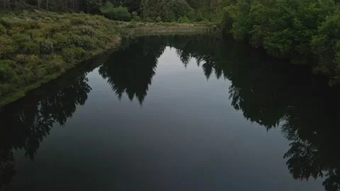 Aerial view of a lake at Oitava forest park in Portugal Stock Footage 234085105