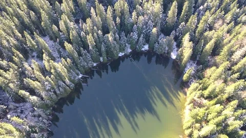 Aerial view of lake surrounded by forest Stock Footage 256212441