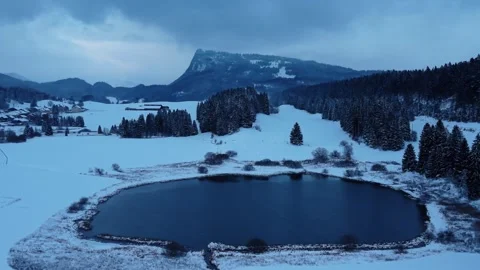 Aerial view of Lake Ter and snow covered trees, Switzerland. Stock Footage 321834536