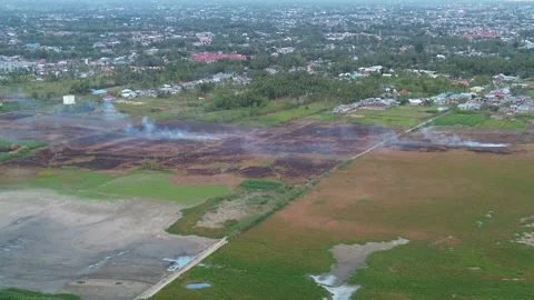 Aerial view of land fire on the edge of Lake Limboto Stock-Footage 253645575
