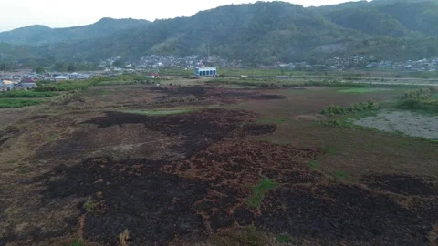 Aerial view of land fire on the edge of Lake Limboto Video stock 255264100