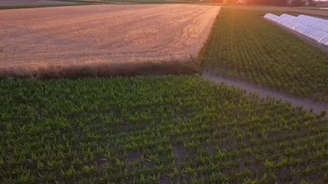 Aerial view landscape Stock Footage 76834508