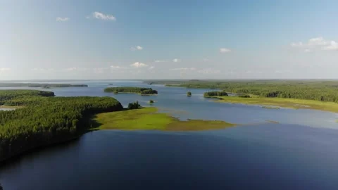 Aerial view of landscape with forest and lake in Karelia Stock Footage 170277157