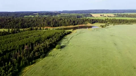 Aerial view landscape with green fields and forest on sunny day Stock Footage 175184424