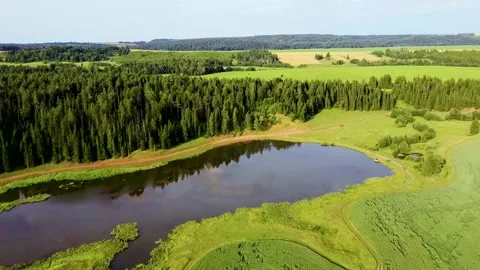 Aerial view landscape with green fields and lake and forest on sunny day Stock Footage 175184498