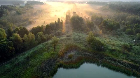 Aerial view. Landscape with lake, forest and misty meadow Stock Footage 79918512