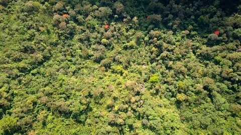 Aerial view landscape in Phu Thap Boek, Thailand Stock Footage 129587779