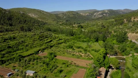 Aerial view landscape poplars river in bloom spring Stock Footage 130797979