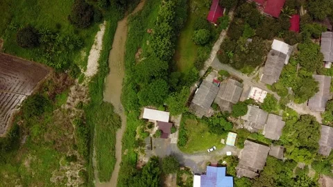 Aerial view of landscape with rice fields. Scenic valley top view panorama 4k Stock Footage 137277395