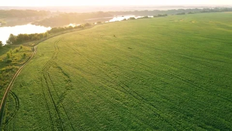 Aerial view of the landscape riverbed Stock Footage 239684979