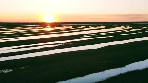 Aerial view of the landscape riverbed Stock Footage 239685876