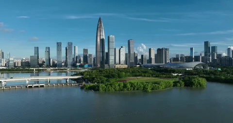 Aerial view of landscape in Shenzhen city, China Stock Footage 325702953