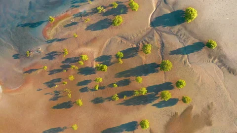 Aerial view of landscape view of low tide seashore Stock Footage 146627481