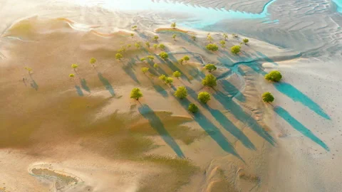 Aerial view of landscape view of low tide seashore Stock Footage 146627853