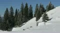 Aerial View Landscape with Winter Trees Snowy Mountains Beautiful Nature Sunny HD Footage