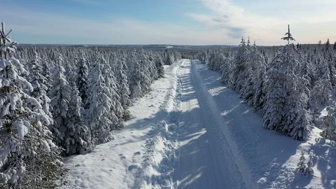 Aerial view of Lapland. The drone view of winter forest in Lapland, Finland Stock Footage 126279710
