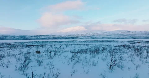Aerial view of Lapland in winter Stock Footage 220042068