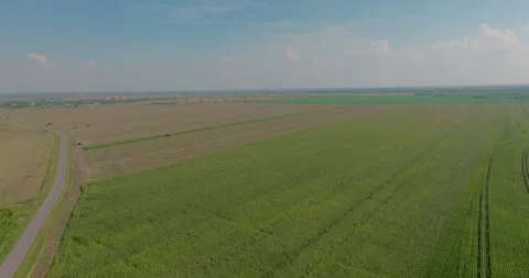 Aerial view of large agricultural fields in ecological farming region in harvest Stock Footage 258868228