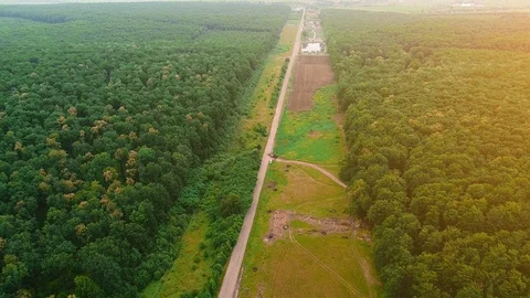 Aerial view of large area and a truck moving among dense forest. 4K. Stock Footage 109937105