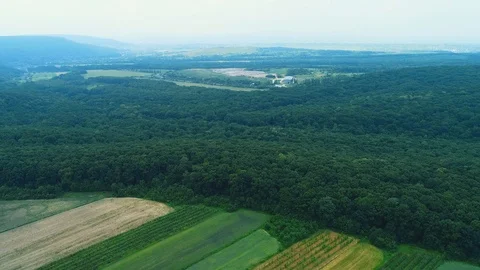Aerial view of a large area of garbage dump. In the vicinity of the food and Stock Footage 115790010