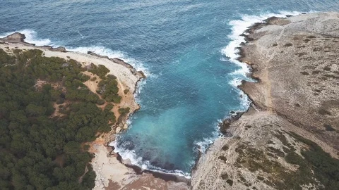 Aerial view of large beach in a forest with waves crashing into rocks Stock Footage 101564597