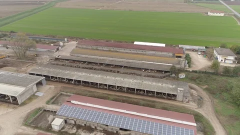 Aerial view of a large beef cattle feedlot farm. Video stock 128349240