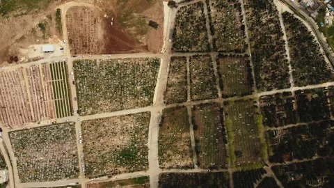 Aerial view of a large cemetery Stock Footage 258681957