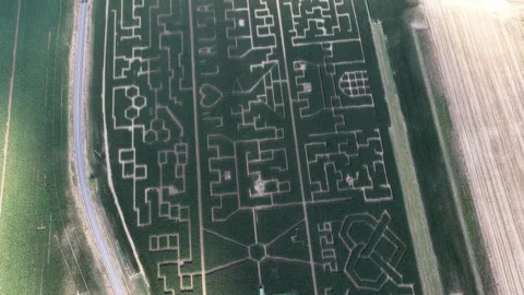Aerial view of a large corn maze with geometric patterns, France. Stock-Footage 339750230