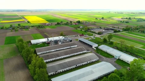 Aerial view of a large farm with cows in the middle of the village and fields. Video stock 196615014