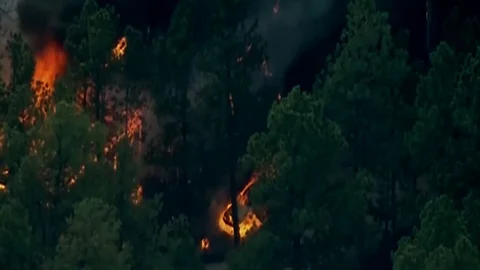 Aerial view of a large fire spreading in the woods 1 Stock Footage 110885284