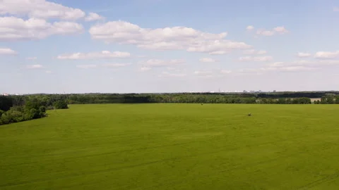 Aerial view of a large grain field. The wind sweeps across the field and draws Stock Footage 163060802