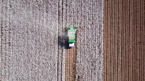 Aerial view of a Large green Cotton picker working in a field. Stock Footage 80475366