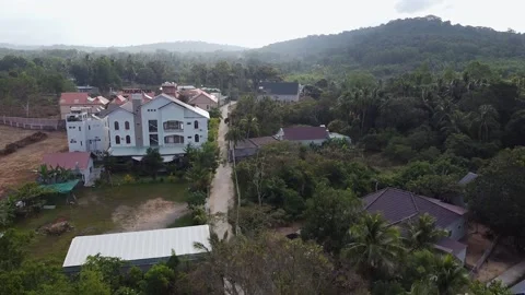 Aerial View Of A Large Green Forest with Palm Trees and A Residential Building Stock Footage 167108901