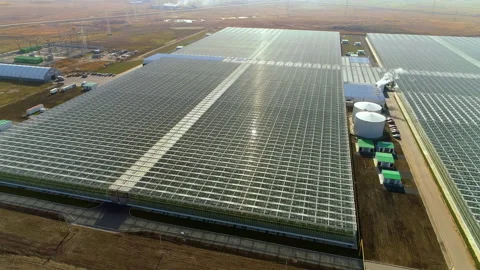 Aerial view of large greenhouse complex. Industrial greenhouses for growing Video stock 137840427