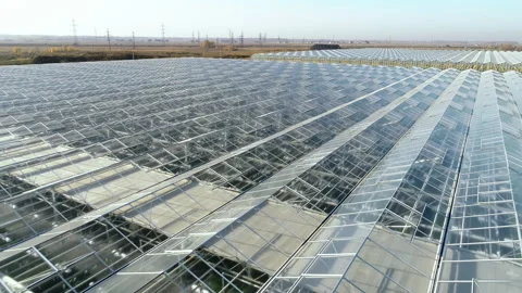 Aerial view of a large greenhouse complex. Growing plants. Vegetable plantation Stock-Footage 137867505