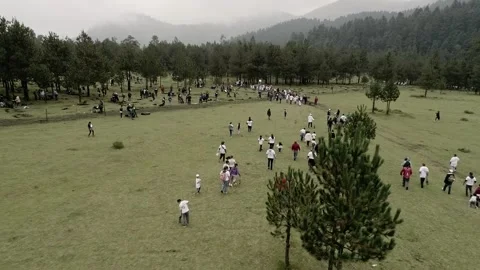 Aerial View of Large Group Walking Across Meadow Surrounded by Pine Forest Stock Footage 337983512