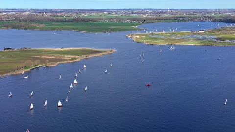 Aerial view of large lake with numerous sailboats, reed shoreline, green field Stock Footage 336929041