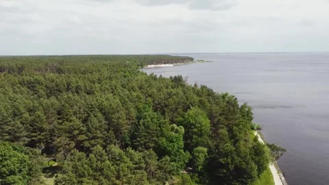 Aerial view of a large lake with a pine forest on the shore. Peaceful landscape Stock Footage 321944230