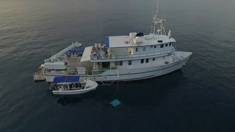 Aerial View of Large Live Aboard Dive Boat 스톡 동영상 128772889