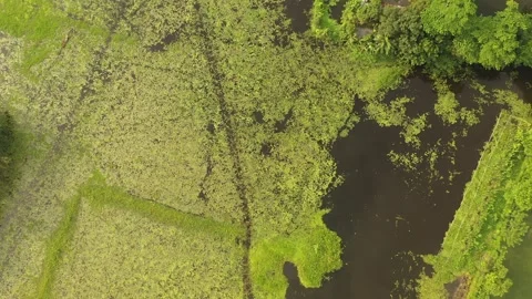 Aerial view of a large marsh Stock Footage 261927601